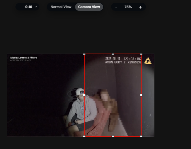 IMABIRD camera view screenshot