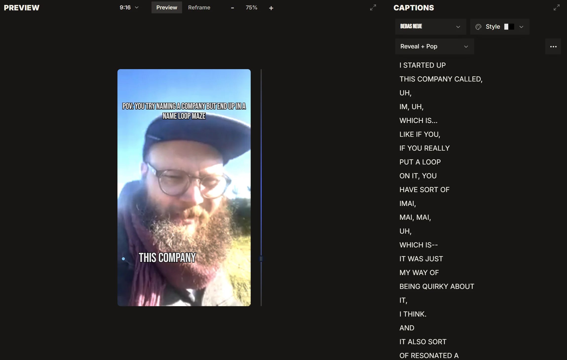 The IMABIRD caption editor with caption text and styling controls